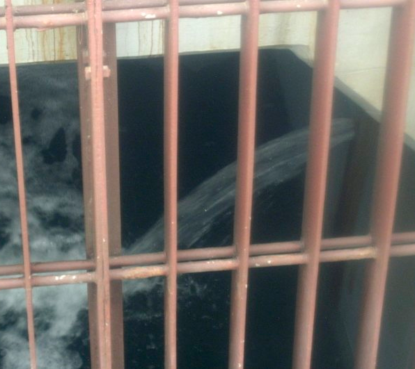 Dünya Çernobil'i mumla arayacak - Resim: 1