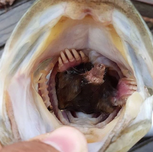 Böylesini daha önce hiç görmediniz çekildiği anda... - Resim: 4