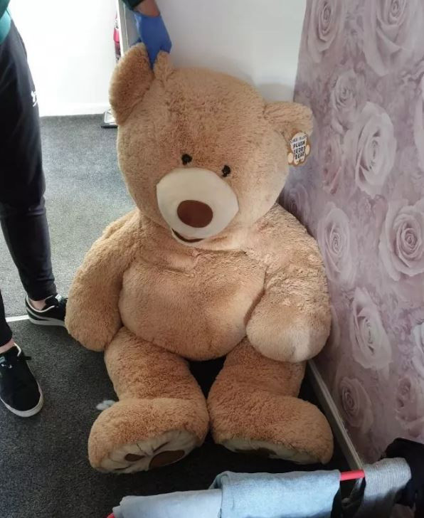 Polis oyuncak ayının nefes aldığını fark etti ve... İçinden çıkan şok etti - Resim: 0