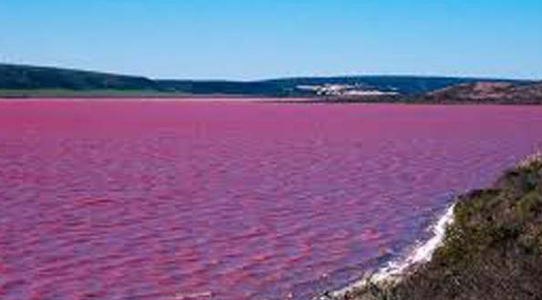 Gerçek! Bu gölün rengi pembe - Resim: 2