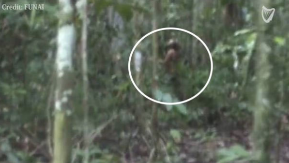 Bu halde görüntülendi! Ormanda çırılçıplak... - Resim: 3