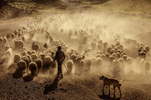 Vahşi Batı değil Türkiye film seti gibi anlar! - Resim: 3