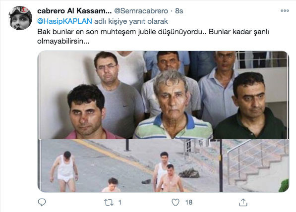 HDP'li Hasip Kaplan'dan tepki çeken Erdoğan tweeti - Resim: 2