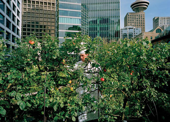 İşte geleceğin en trend 9 mesleği! - Resim: 2