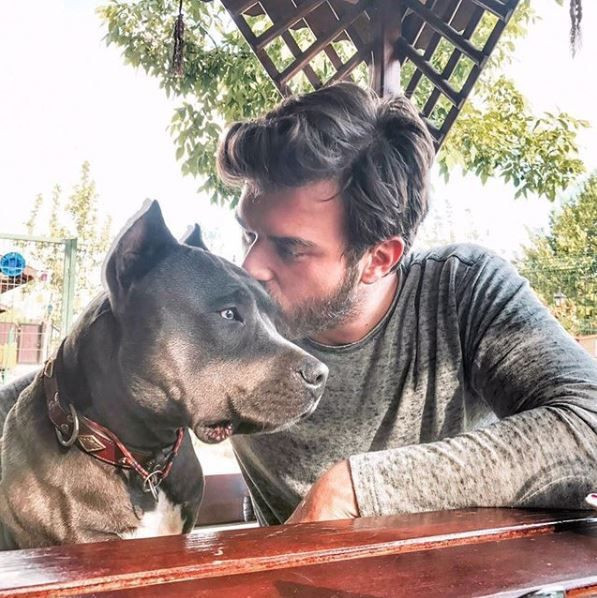 Kıvanç Tatlıtuğ hayvanseverliğini bir kez daha gösterdi! Barınak kuruyor - Resim: 2