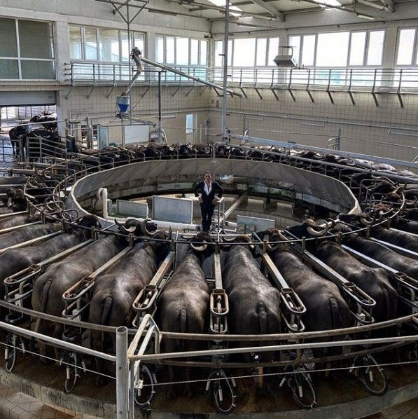 Nusret Gökçe'nin rezil manda paylaşımı herkesi ayağa kaldırdı - Resim: 2