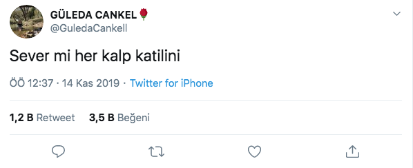 Güleda Cankel'in katili Zafer Pehlivan Instagram'dan ölümü böyle duyurdu - Resim: 2