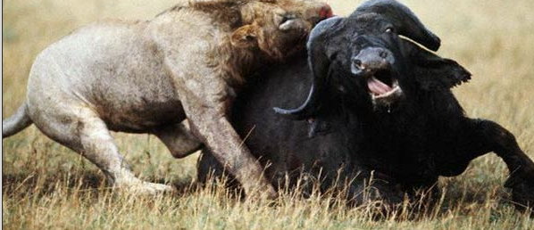 Tam o anda çekilen fotoğraflar - Resim: 1