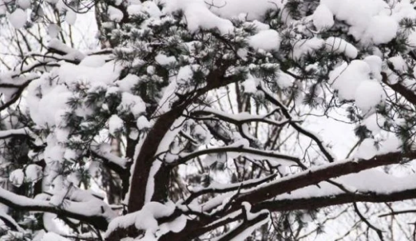 Meteoroloji bölge gölge uyardı! Beklenen kar yağışı başlıyor - Resim: 3