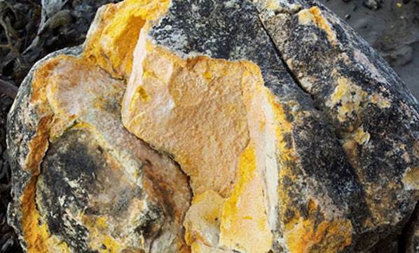 Balına kusmuğu ne işe yarar ne yapılır fiyatı kaç para? - Resim: 1