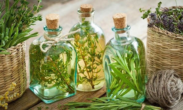 Çay ağacı yağı ne işe yarar nasıl kullanılır? - Resim: 2