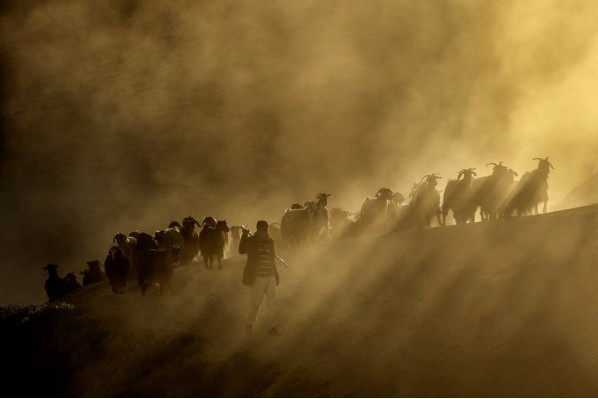 Vahşi Batı değil Türkiye film seti gibi anlar! - Resim: 2