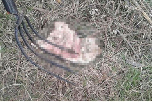 Vahşet! Karısını parçalara bölüp poşetledi nedenine bakın! - Resim: 3