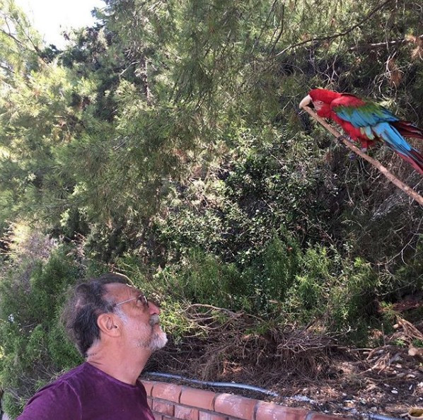 Skandaldan sonra Tamer Levent ilk kez konuştu 'Çözüm birlik olmak' - Resim: 3