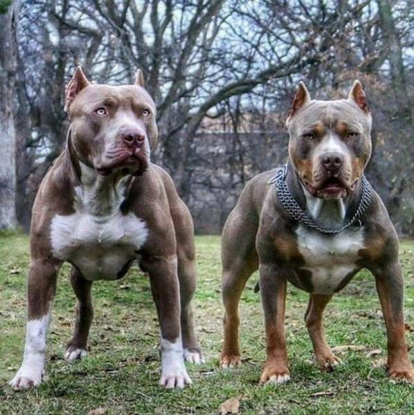 Cuma gününün 55 muhteşem fotoğrafı - Resim: 2