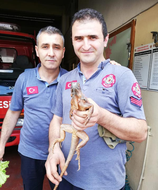 Caminin deposundan ses gelince fark ettiler! - Resim: 0