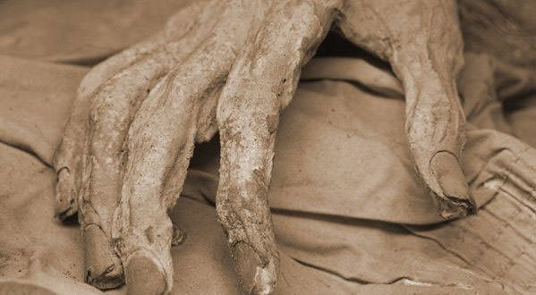 Mezardan gelen seslerin sebebi ne çok korkunç  - Resim: 3