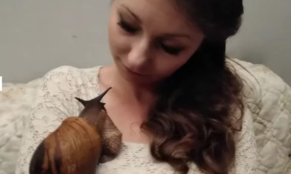 Beslediği şeyi gören yok artık diyor! 'Bu inanılmaz yaratıklara aşık oldum' - Resim: 4