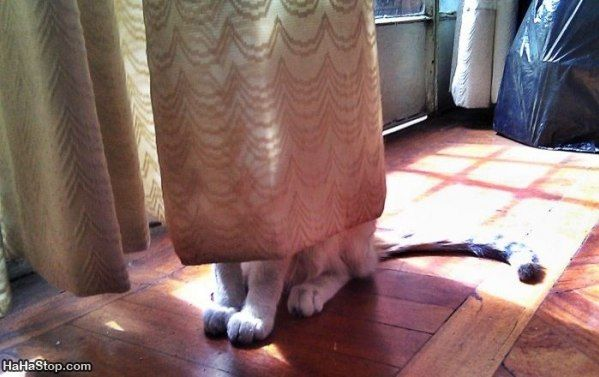 Bu fotoğraflara çok güleceksiniz - Resim: 3