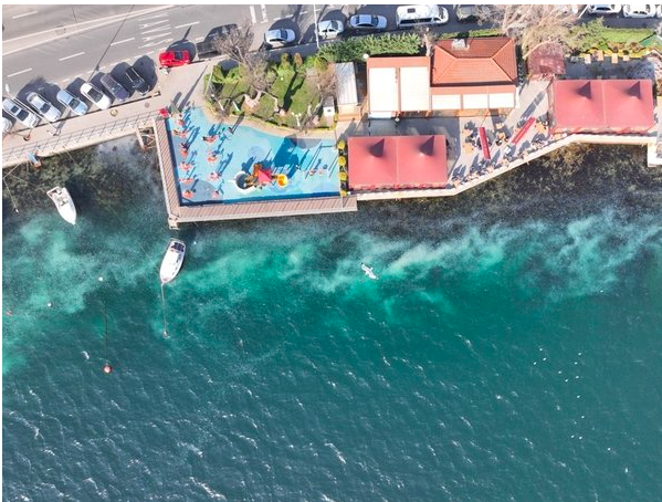 İstanbul Boğazı'nı istila ettiler! Son halini görenler dehşete düştü - Resim: 2