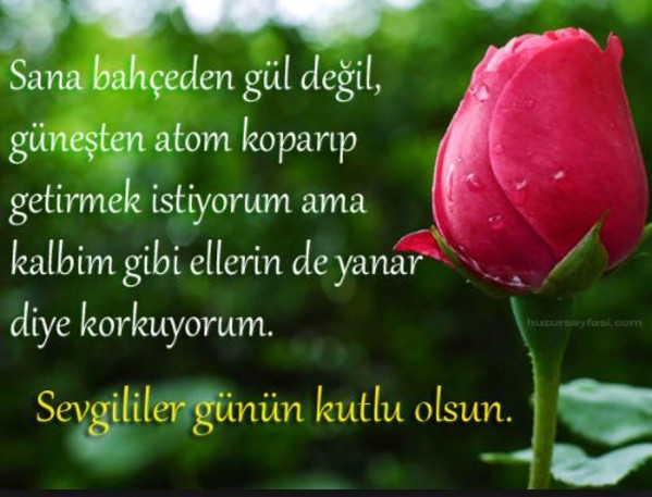 14 Şubat sözleri resimli kısa Sevgililer Günü komik mesajları - Resim: 1