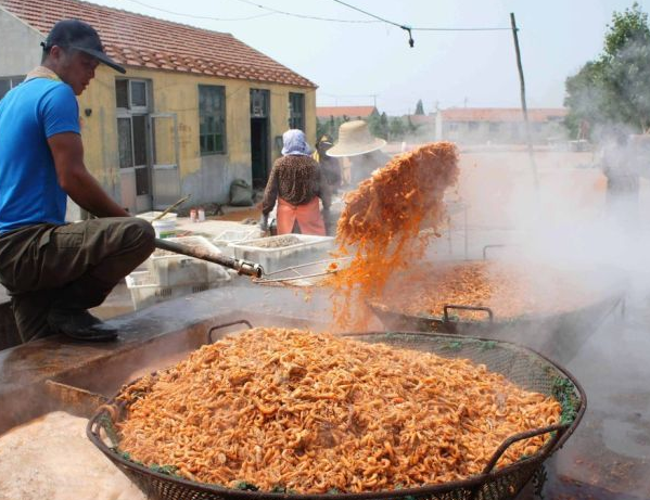 Daha yakından bakın! Şoke olacaksınız - Resim: 3
