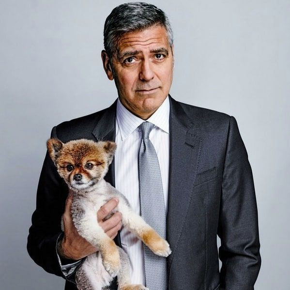 George Clooney hastaneye kaldırıldı! Filmi için 25 kilo birden vermişti hastalığı... - Resim: 4