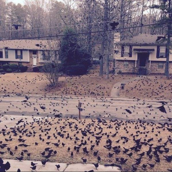 Günün en çılgın 60 fotoğrafı - Resim: 3