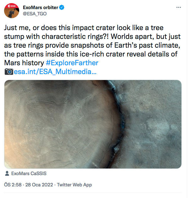 Mars'ta çekilen fotoğrafın sırrı çözüldü ağaç kütüğüne benzetilmişti - Resim: 0