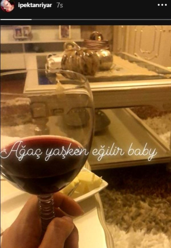 İpek Tanrıyar'dan takipçilerine ağır hakaret! Hamile haliyle içki kadehi paylaşmıştı - Resim: 4