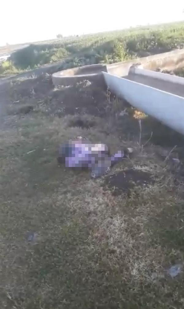 Adana'da hamile kadın yol kenarında ölü bulundu! Kardeşi gözaltına alındı - Resim: 0