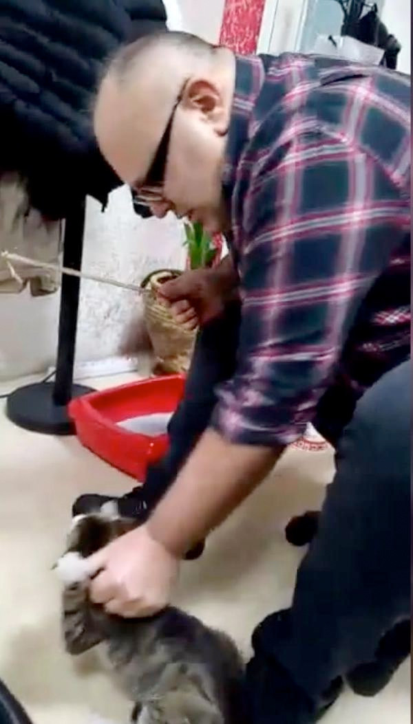 İşadamı kediyi sopayla dövdü dehşet anları kamerada - Resim: 3