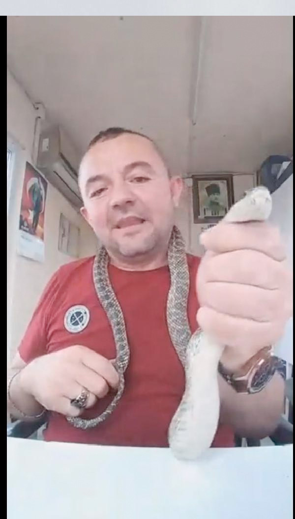 Yakaladığı yılanla sosyal medyada canlı yayın yaptı - Resim: 1