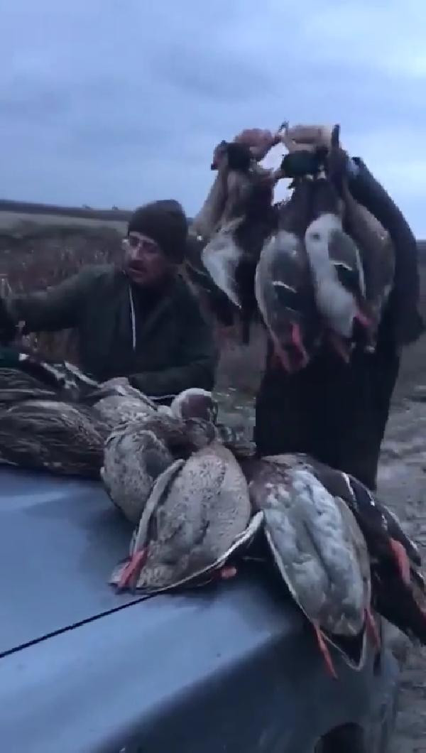 Kuş Cenneti'nde kaçak avcı katliamı: Onlarcası telef edildi! - Resim: 3