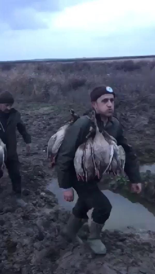Kuş Cenneti'nde kaçak avcı katliamı: Onlarcası telef edildi! - Resim: 4