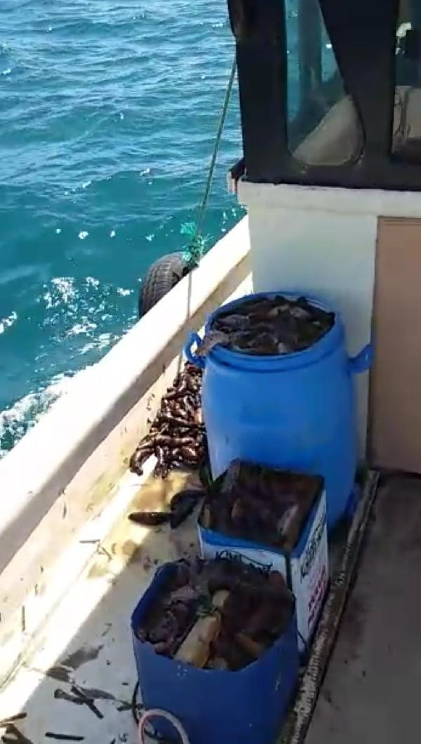 Denizde 'patlıcan' operasyonu! - Resim: 4