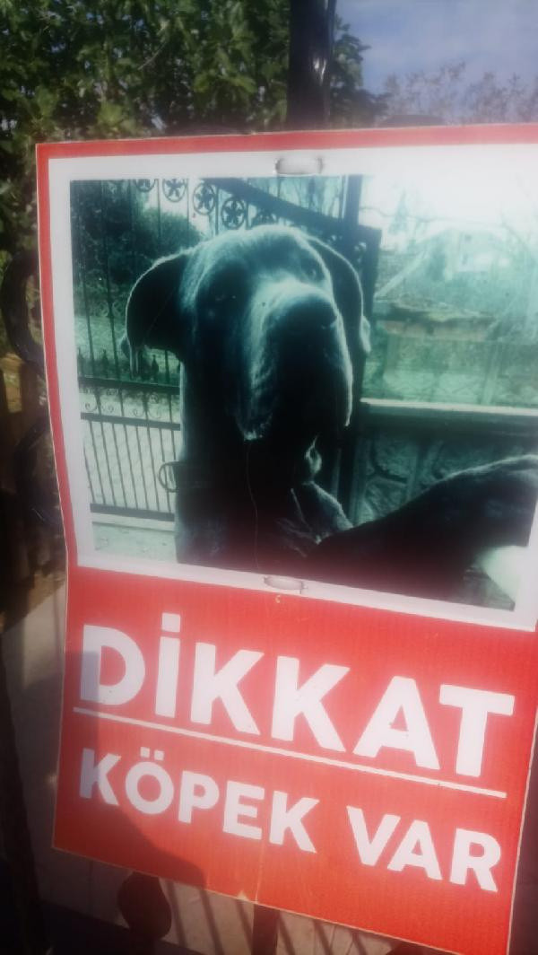 Düzce'de 5 yaşındaki kız kabusu yaşadı! 300 dikiş atıldı: 4 saat 40 yıl gibi geldi - Resim: 1