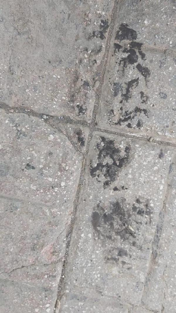 Diyarbakır'da yaşandı! Kaldırımdaki ayak izi hırsızlık şüphelisini ele verdi - Resim: 0