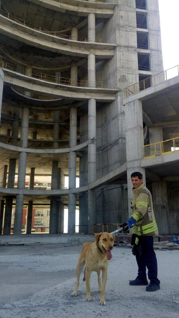 İstanbul'da 36. katta 10 gün bekledi! Gelen ekipler inanamadı - Resim: 1