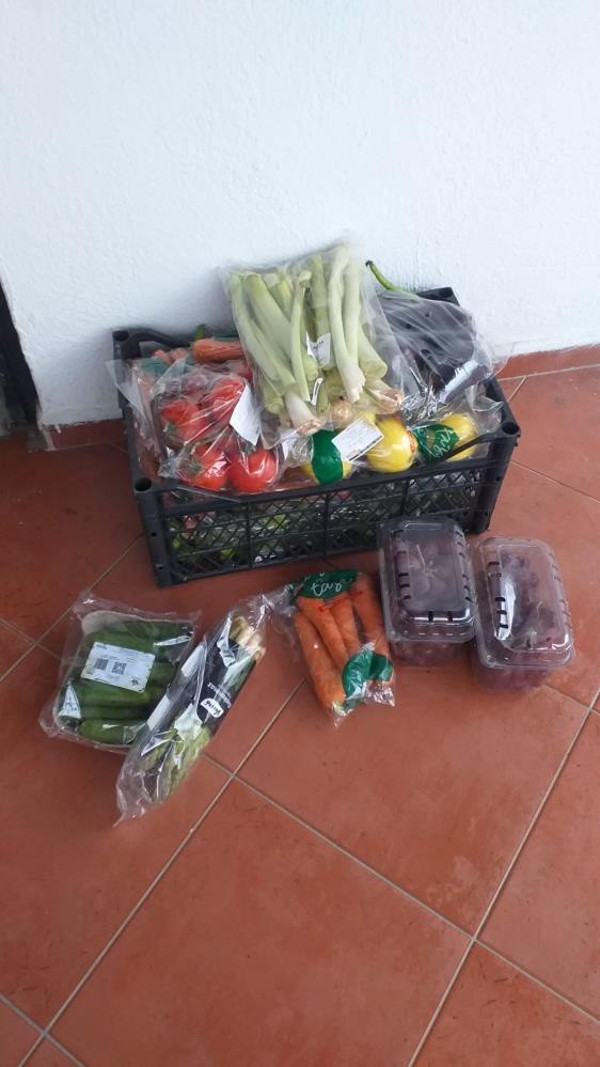 Muğla'da çöpten çıkanlar görenleri isyan ettirdi: Yazıktır, günahtır - Resim: 1