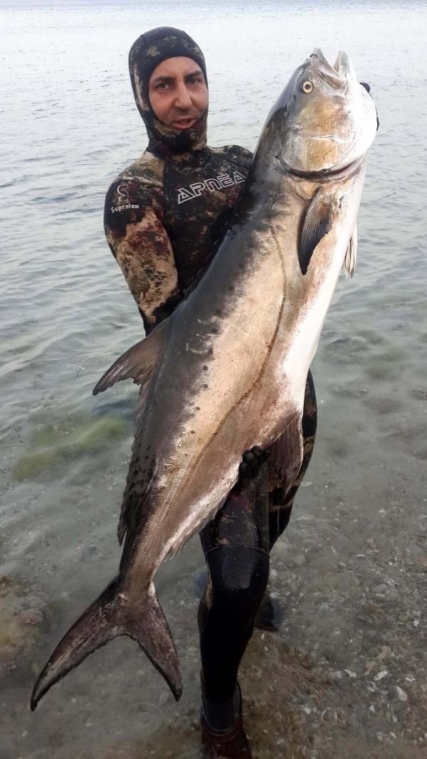 Tüpsüz daldı türünün en büyük balığını avladı! - Resim: 1