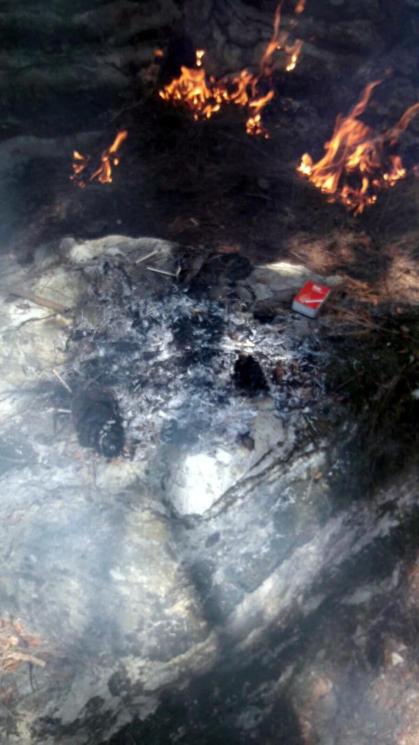 Hainler işbaşında! Turizm cennetini 3 noktadan ateşe verdiler - Resim: 2