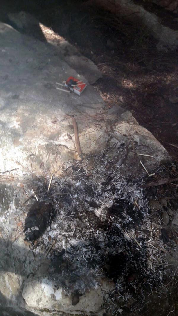 Hainler işbaşında! Turizm cennetini 3 noktadan ateşe verdiler - Resim: 3