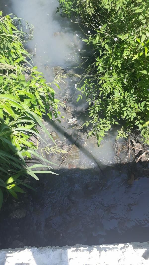 İzmir'de mahalle sakinleri kokudan oturamıyor! Sinekler fareler kanalizasyon... - Resim: 1