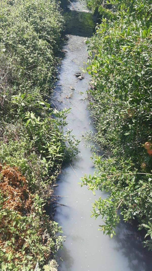 İzmir'de mahalle sakinleri kokudan oturamıyor! Sinekler fareler kanalizasyon... - Resim: 3