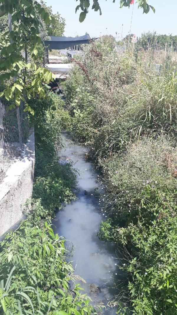 İzmir'de mahalle sakinleri kokudan oturamıyor! Sinekler fareler kanalizasyon... - Resim: 4