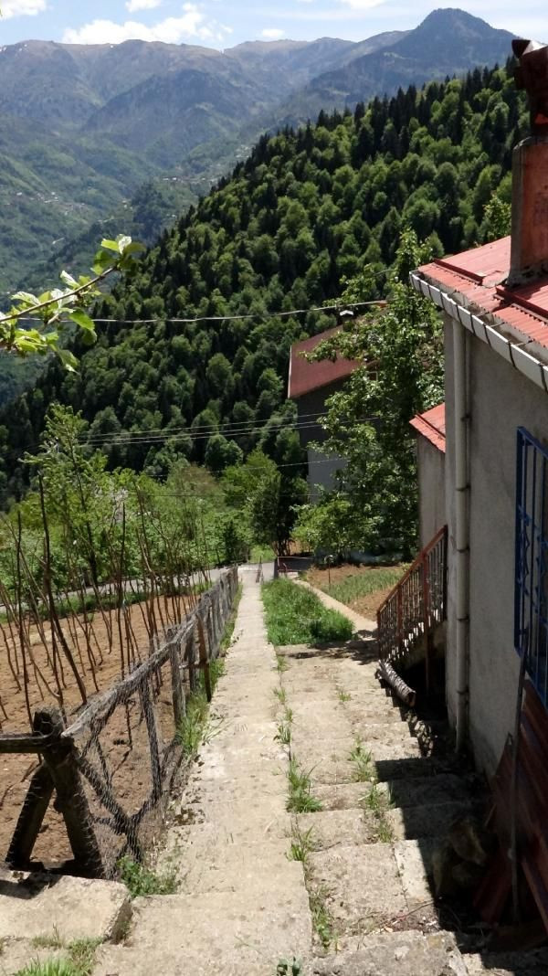 Trabzon'da görenler merak edip soruyor! Karadeniz inadı yüzünden çok masraf yaptılar - Resim: 3