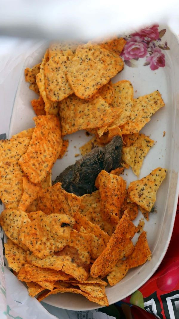 Cipsin içinden ölü fare çıktı kusanlar oldu! BİM'den fare açıklaması geldi - Resim: 2