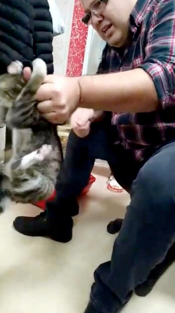 İşadamı kediyi sopayla dövdü dehşet anları kamerada - Resim: 2