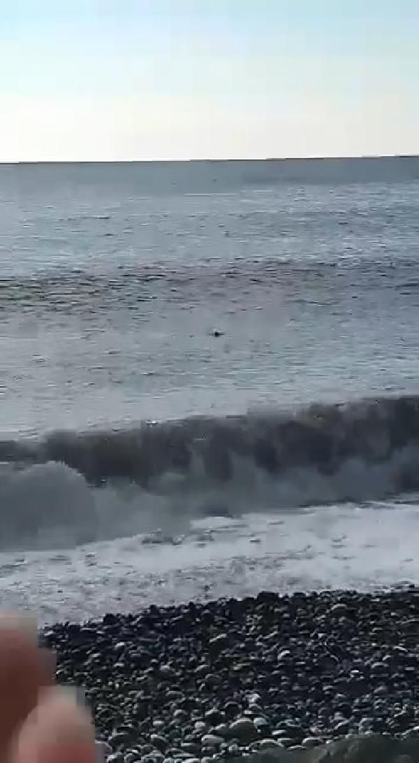 Rize'de feci olay! Denizde kayboldu son anları kameraya yansıdı - Resim: 3